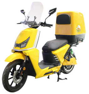 Motocicletta elettrica