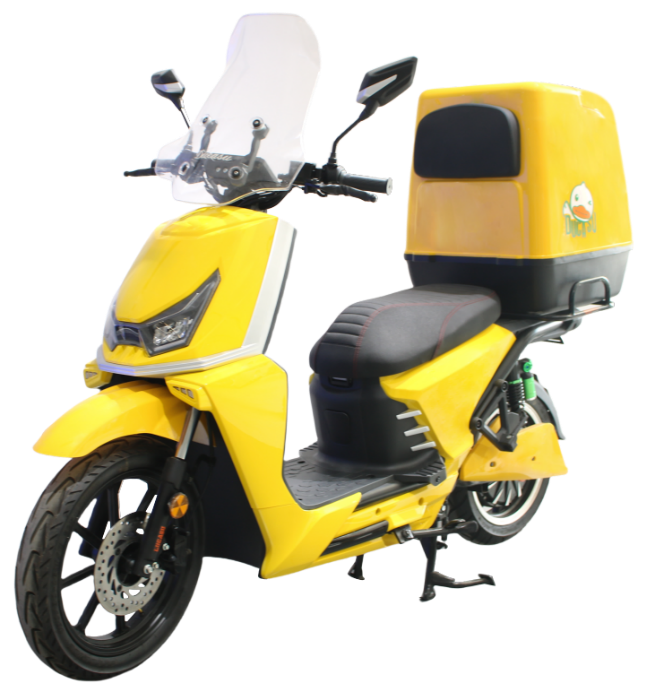 Motocicletta elettrica