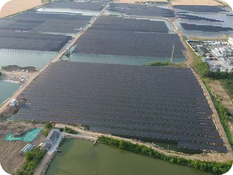 Progetto complementare fotovoltaico per la pesca da 80 MW del Fujian Zhangzhou