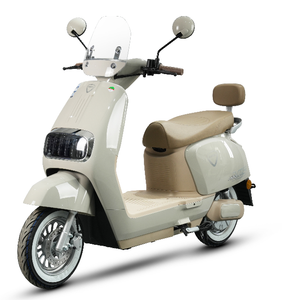 Motocicletta elettrica