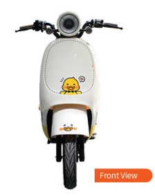 Motocicletta elettrica